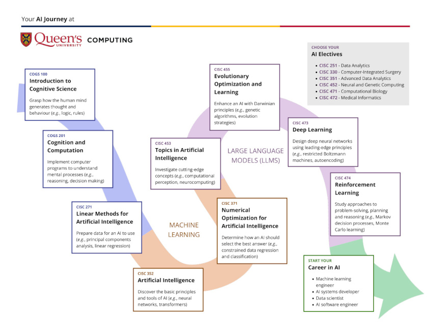 Undergraduate AI Journey